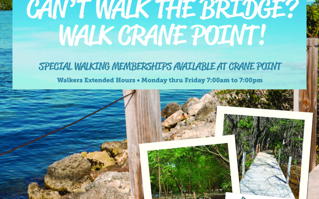 Can’t Walk the Bridge? Walk Crane Point!