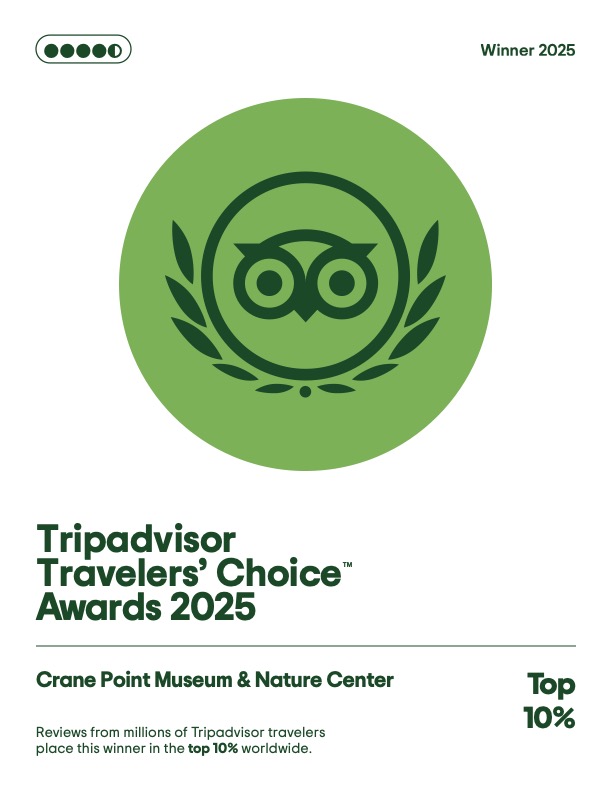 trip advisor award